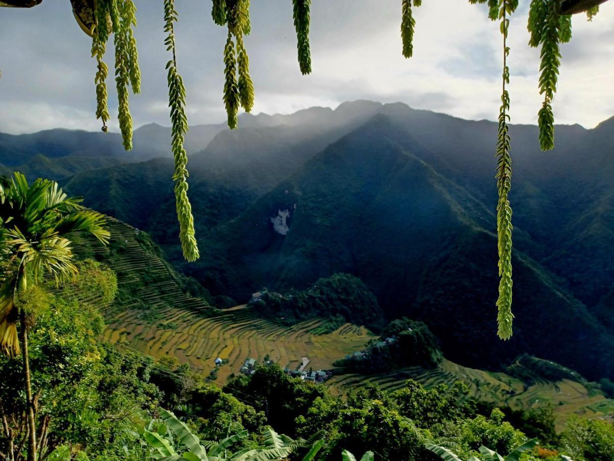 Batad Countryside Bed & Breakfast Banaue Dış mekan fotoğraf